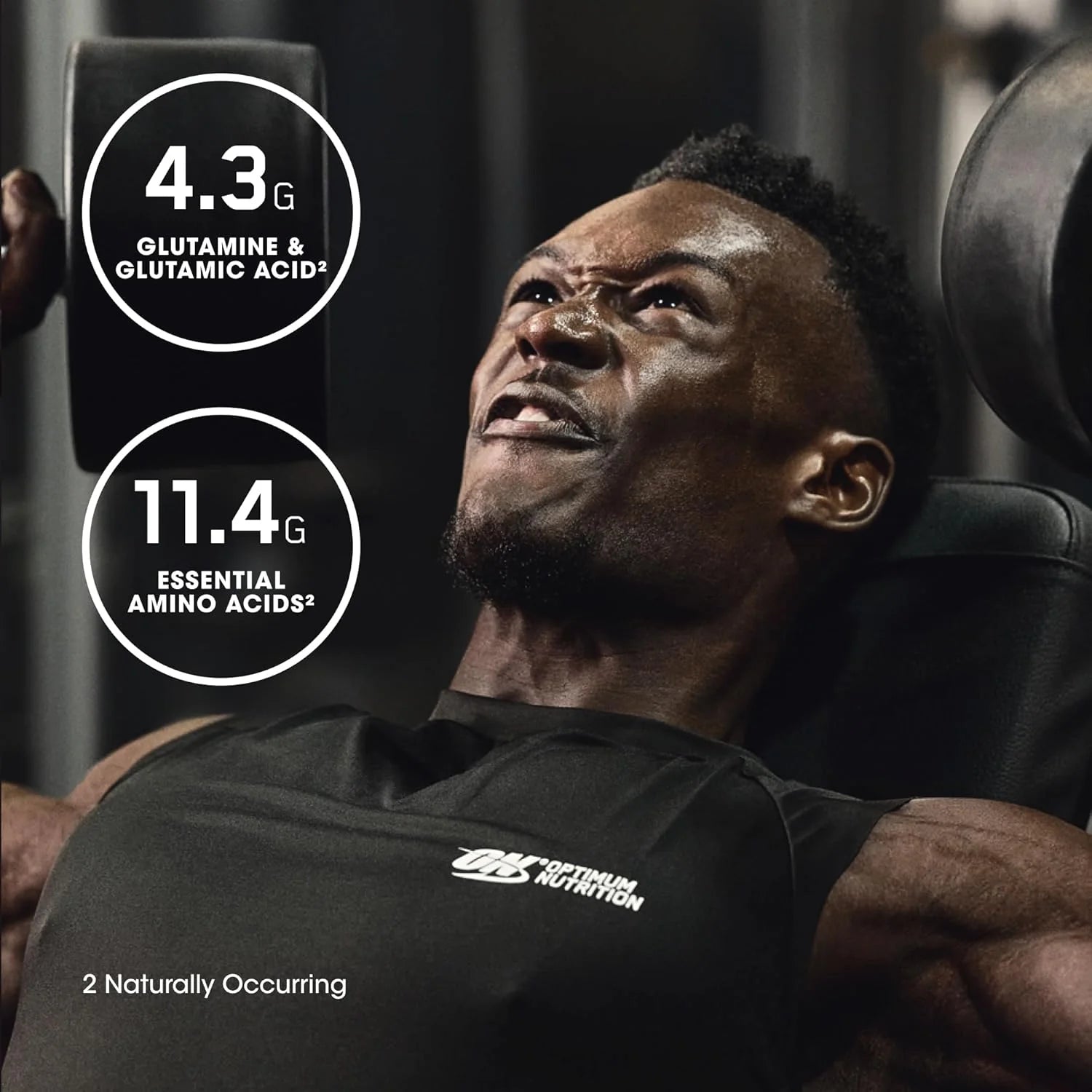 Optimum Nutrition Gold Standard 100% Isolate Whey Protein Powder – Chocolate Bliss, 3 lb (44 Servings)